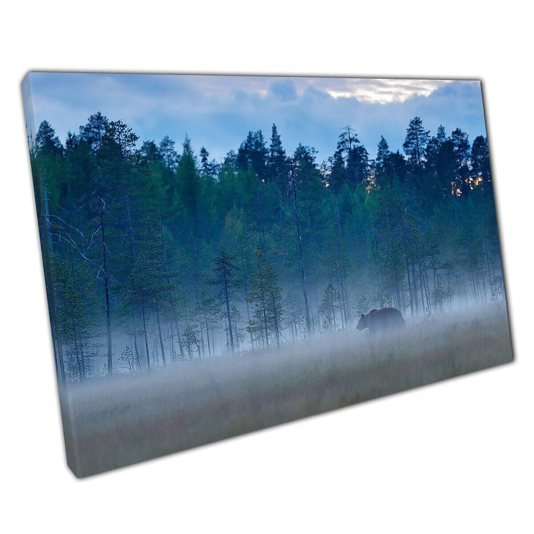 Beautiful Brown Bear Travelling Through Grassy Woodland And Thick Fog Photography Wall Art Print On Canvas Mounted Canvas print