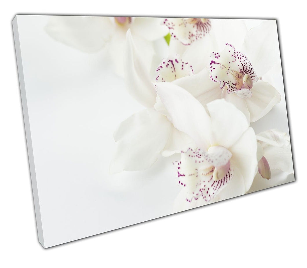 Tela stampare orchidee bianche arte murale pronte da appoggiare stampa montata in tela