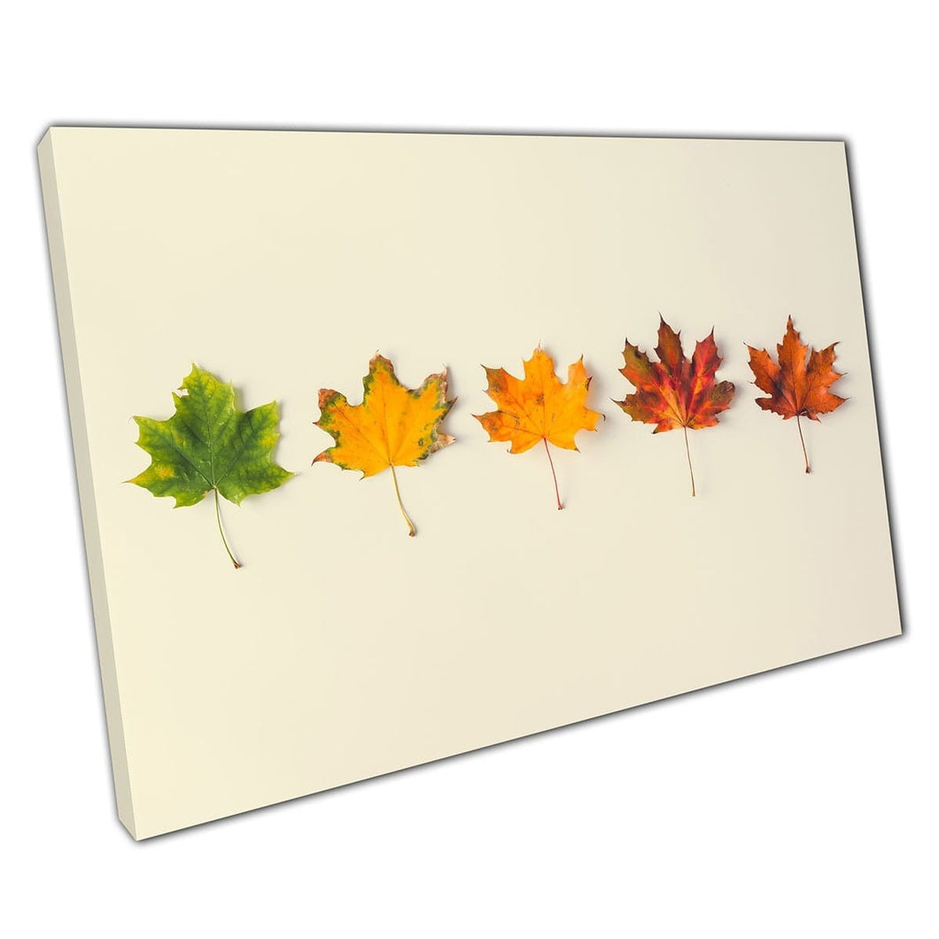 Fasen van herfstbladeren Minimalistische seizoensfotografie Natuur Rich groen oranje rode muur Art Print op canvas gemonteerde canvas print