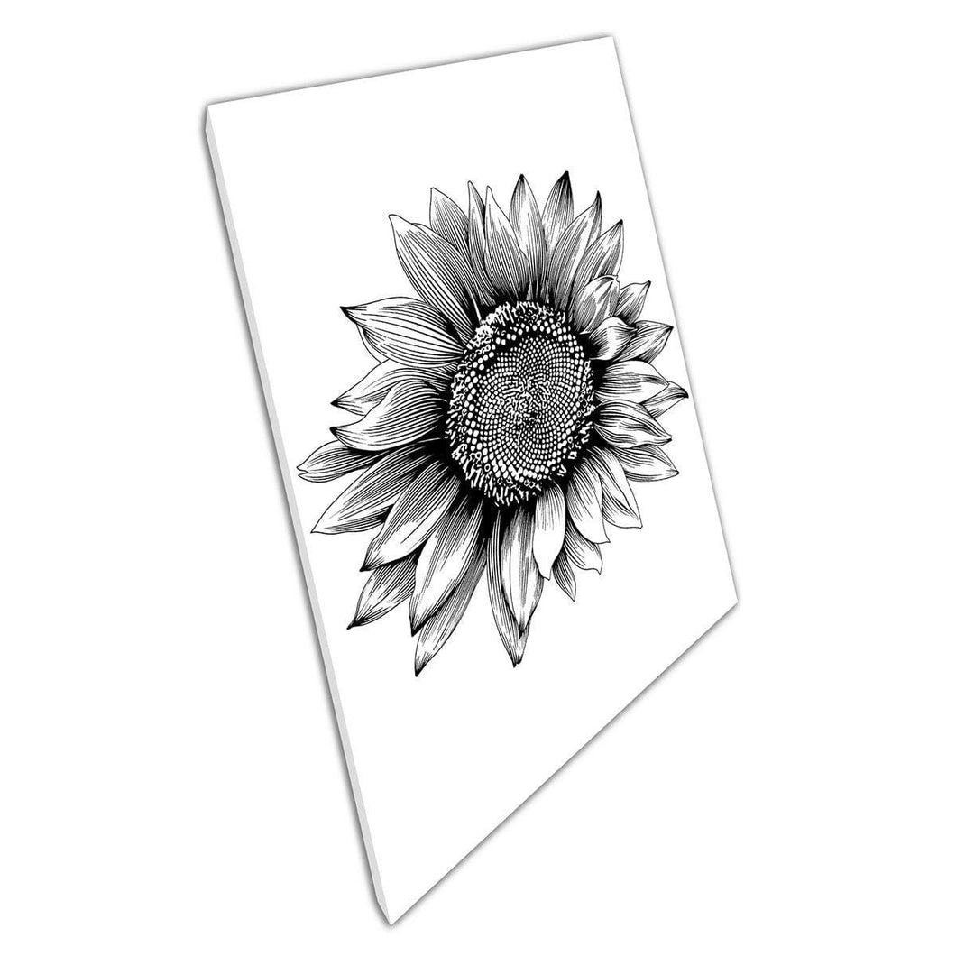 Zwart -witte vintage stijl bloeiende zonnebloem botanische illustratie schets wall art print op canvas gemonteerde canvas print