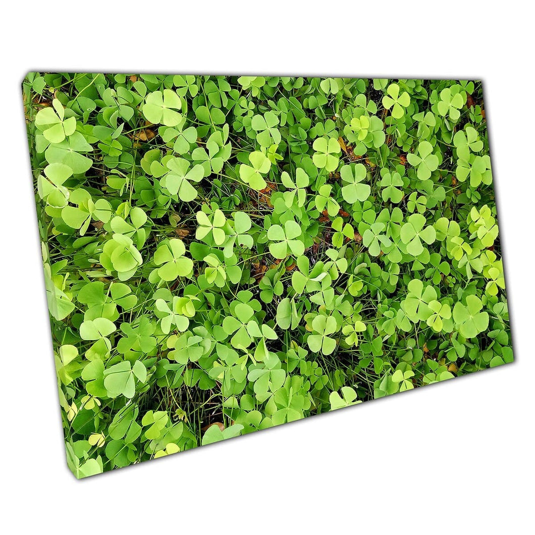 Abstract Close Up View Natural Grassy Leafy Vivid Green Clover Patch Photography Wall Art Print On Canvas Mounted Canvas print