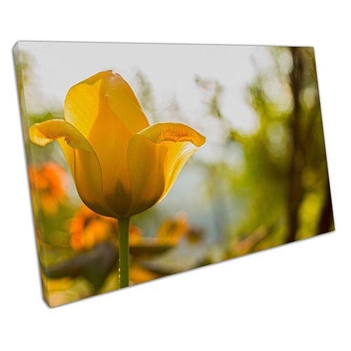 Afdrukken op canvas gele veerbloem canvas muur kunst print gemonteerd canvas printready om op te hangen