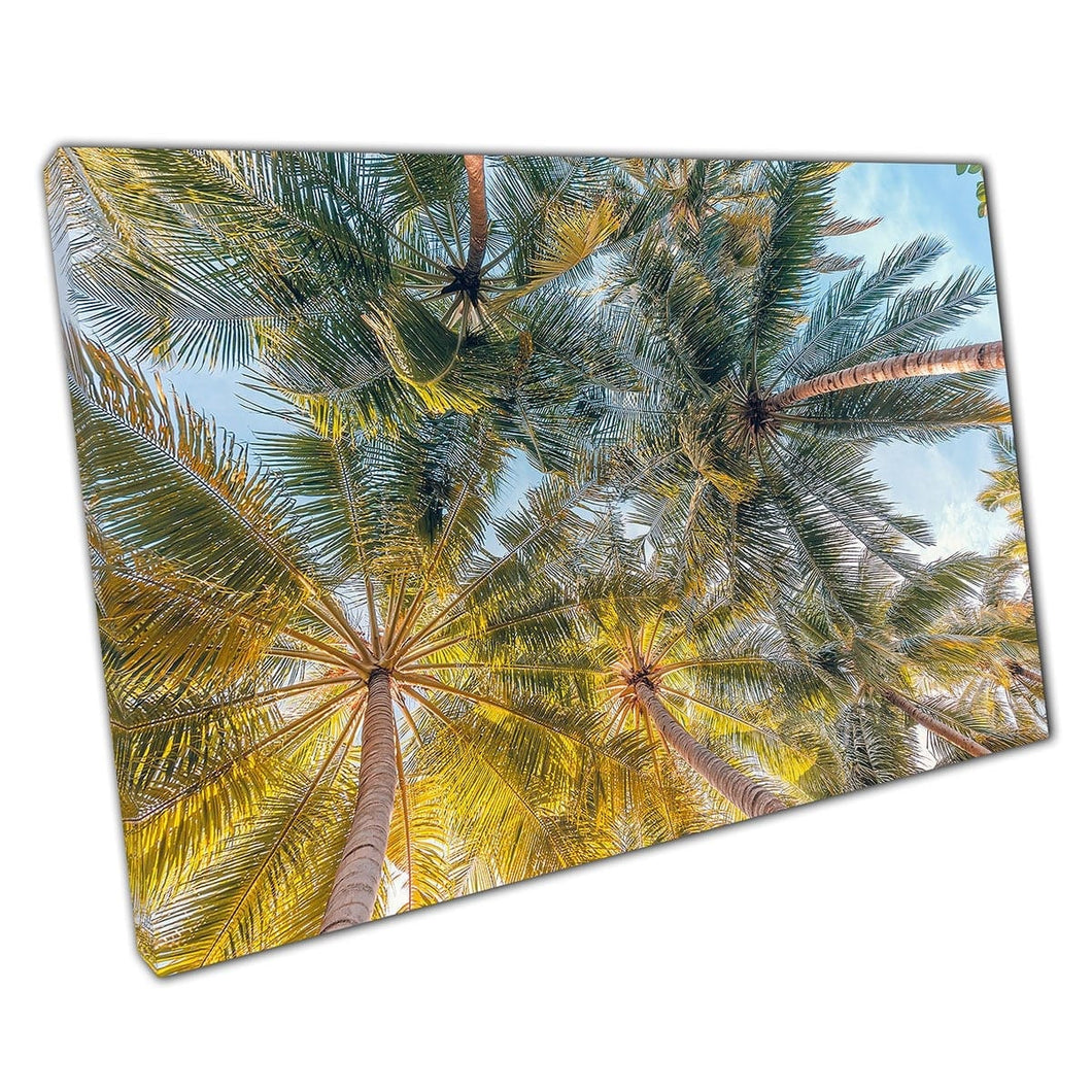 Rayos solares de la mañana asomando a través de altas hojas de palmera ambiente tropical Arte de pared impresa en lienzo lienzo estampado