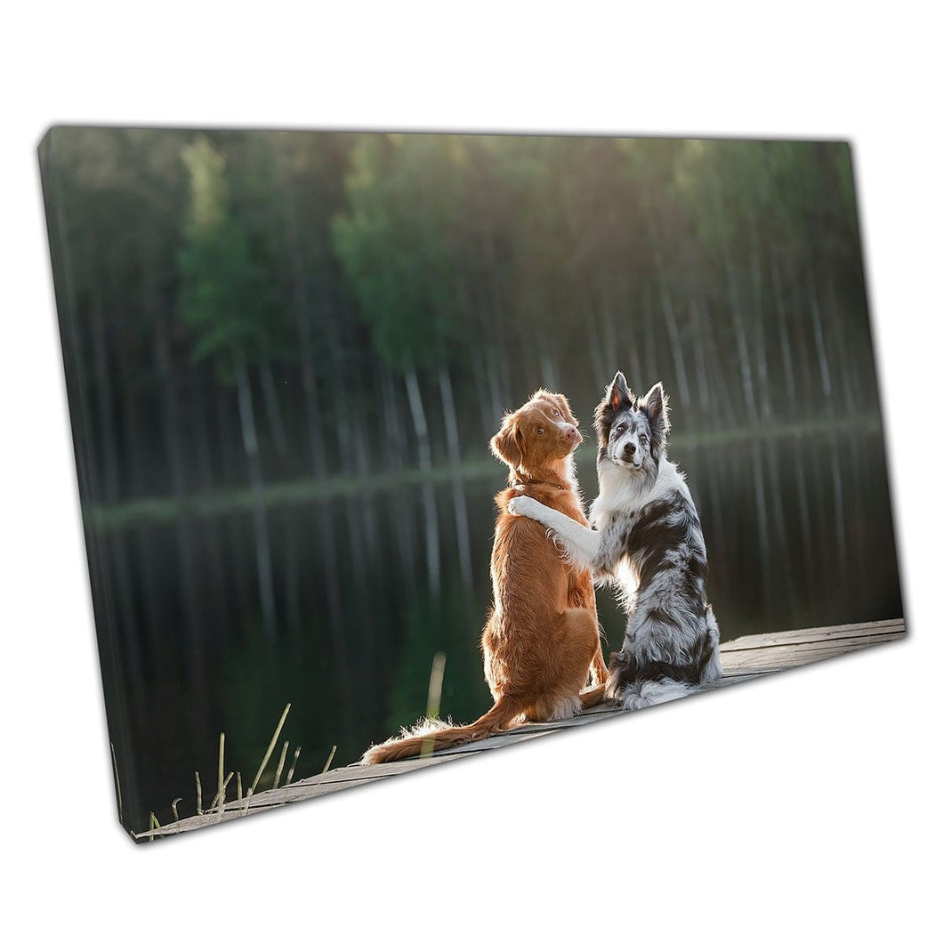 Twee honden ontspannen samen beste vrienden naast Water Woodland Pet Dogs Photography Wall Art Print op canvas gemonteerde canvas print