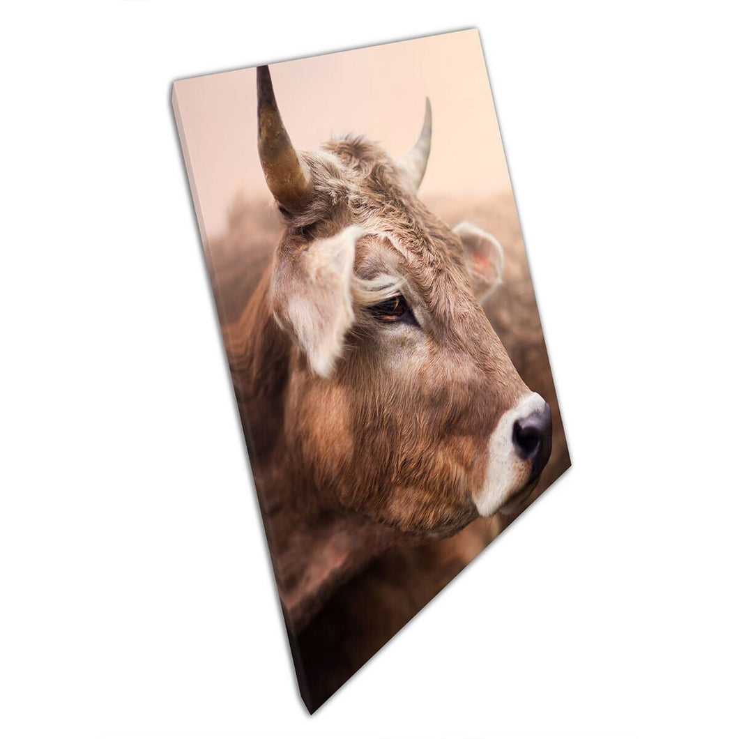 Bruine koe met hoorns Moskou Rusland in de zomer in de zomer van de muurwand kunstafdruk op canvas gemonteerde canvas print