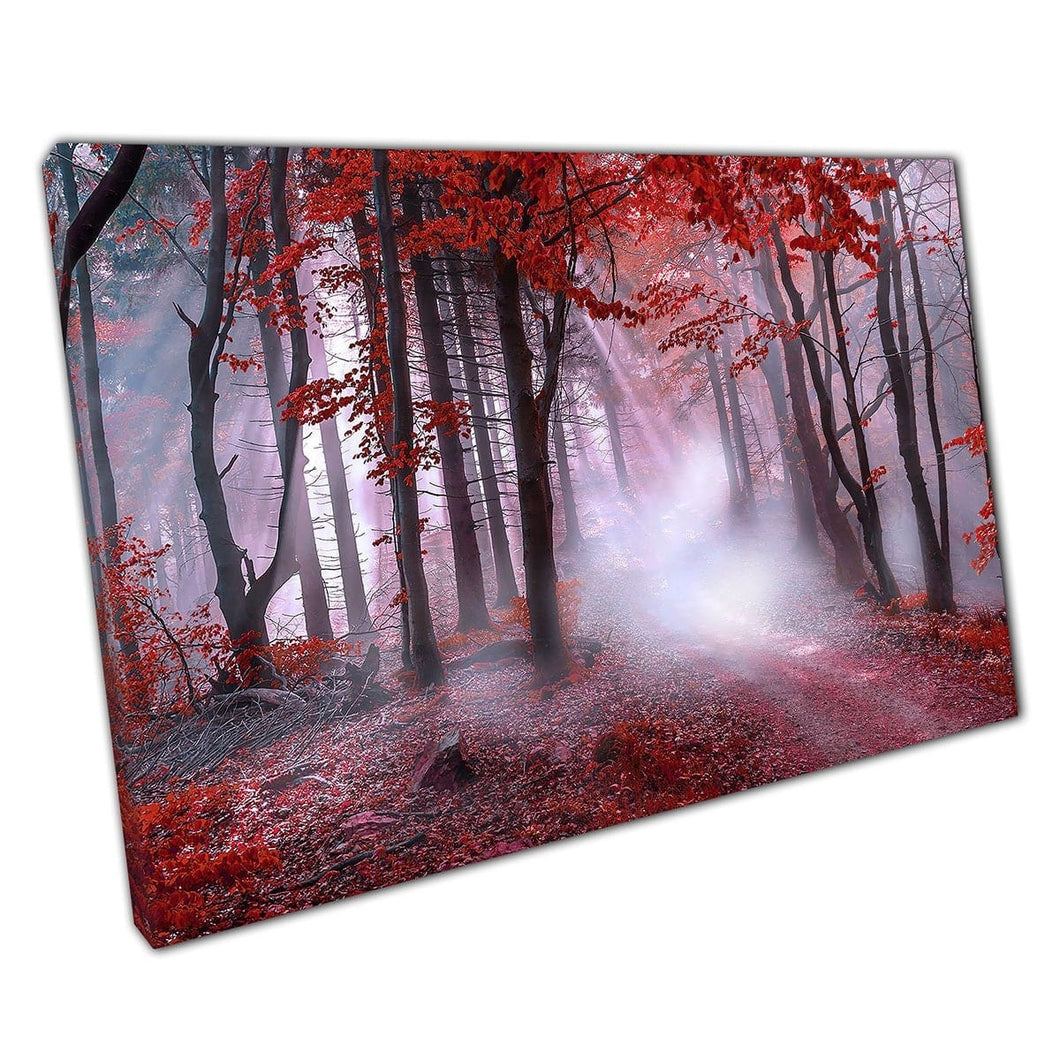 Magical Mystical Red Forest Woodland Sunbeams And Mist Vibrant Nature Outdoors Scene Wall Art Print On Canvas Mounted Canvas print