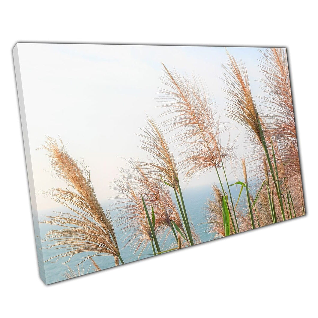 Miscanthus zilveren gras voor rustige rustgevende oceaan op een zonnige dag kalmerende natuurwandkunstafdruk op canvas gemonteerde canvas print