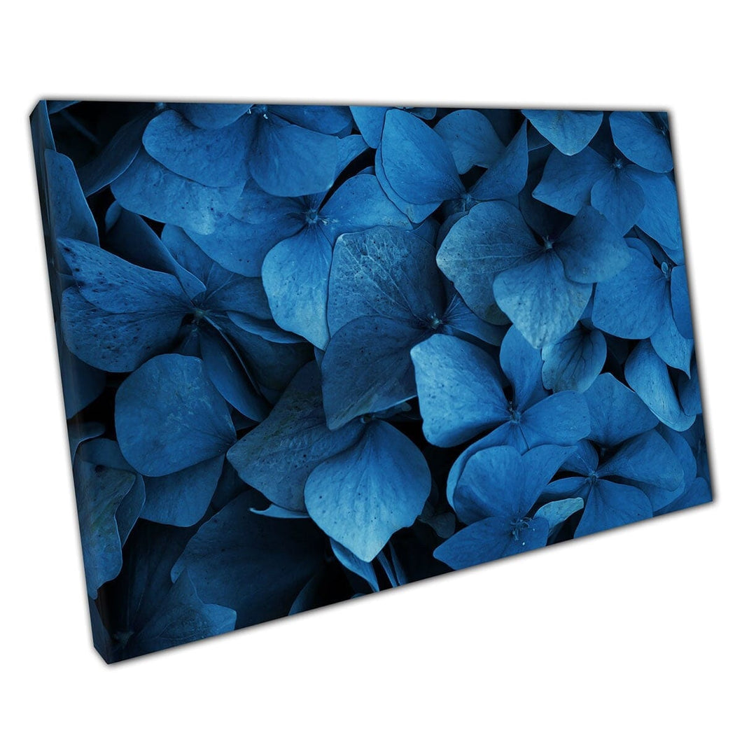Stunning Dusky Stormy Blue Toned Hydrangea Flowers Detailed Floral Photography Wall Art Print On Canvas Mounted Canvas print