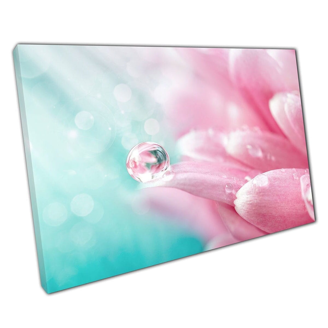 Morgen dauwwaterdruppeltjes rusten op zacht roze bloemblaadjes bloemblaadjes lente zomer muur kunst print op canvas gemonteerde canvas print