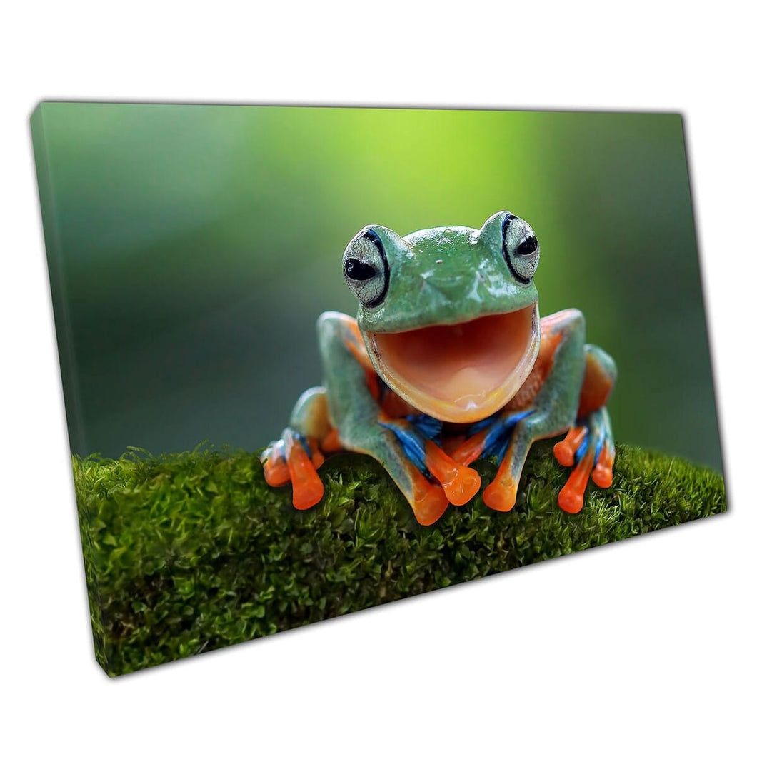 Gelukkige boomkikker zat op een bemoste rots lachend grappige natuur wilde dierenfotografie muurkunst print op canvas gemonteerde canvas print