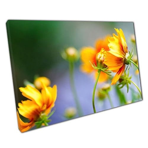 Afdrukken op canvas gele bloemen in de zon klaar om muurwand te hangen afdrukken gemonteerde canvas print