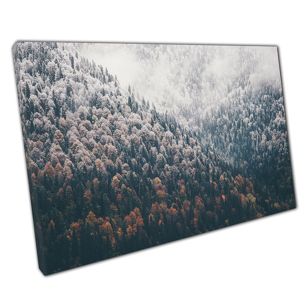 Scenic Serene Snow Gedoffed Conerous Woodland Forest Foggy Landscape Wall Art Print op canvas gemonteerde canvas print