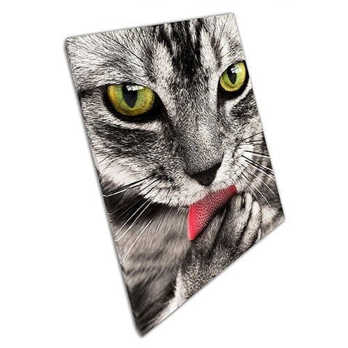 Afdrukken op canvas grijs en zwarte tabby kattentong uit muur kunstprint gemonteerd canvas print
