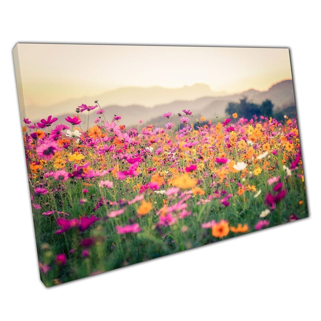 Impresión de arte de pared de prado de flores de cosmos de color rosa y naranja en lienzo montado en lienzo