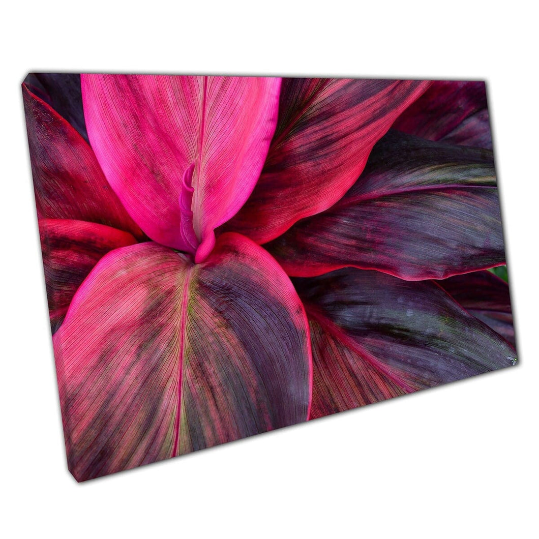 Vibranti magenta rosa e profondo scudo viola foglie esotiche fogliame naturale arte della parete stampa su tela