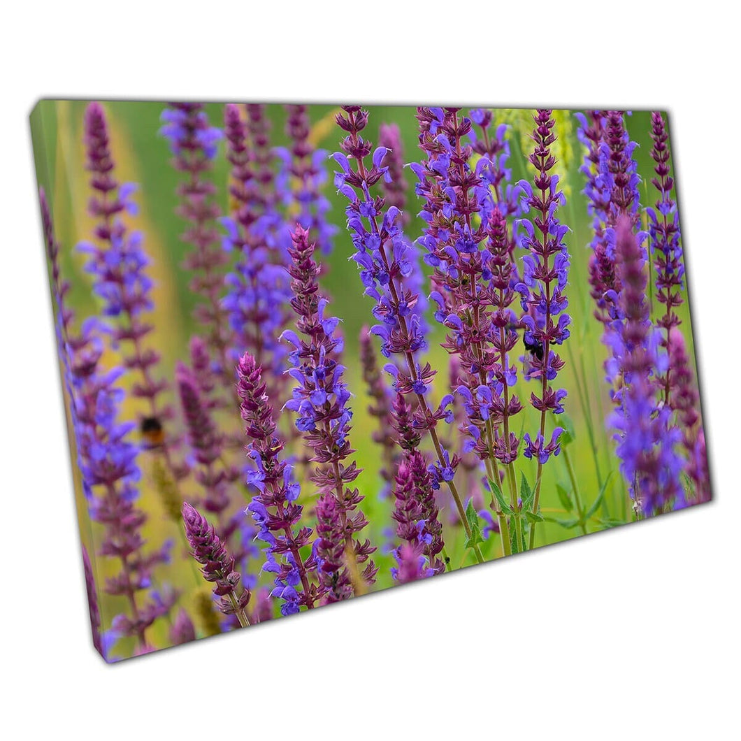 Meadow Of Lavender Flowers Being Visited By Bumble Bees Wall Art Print On Canvas Mounted Canvas print