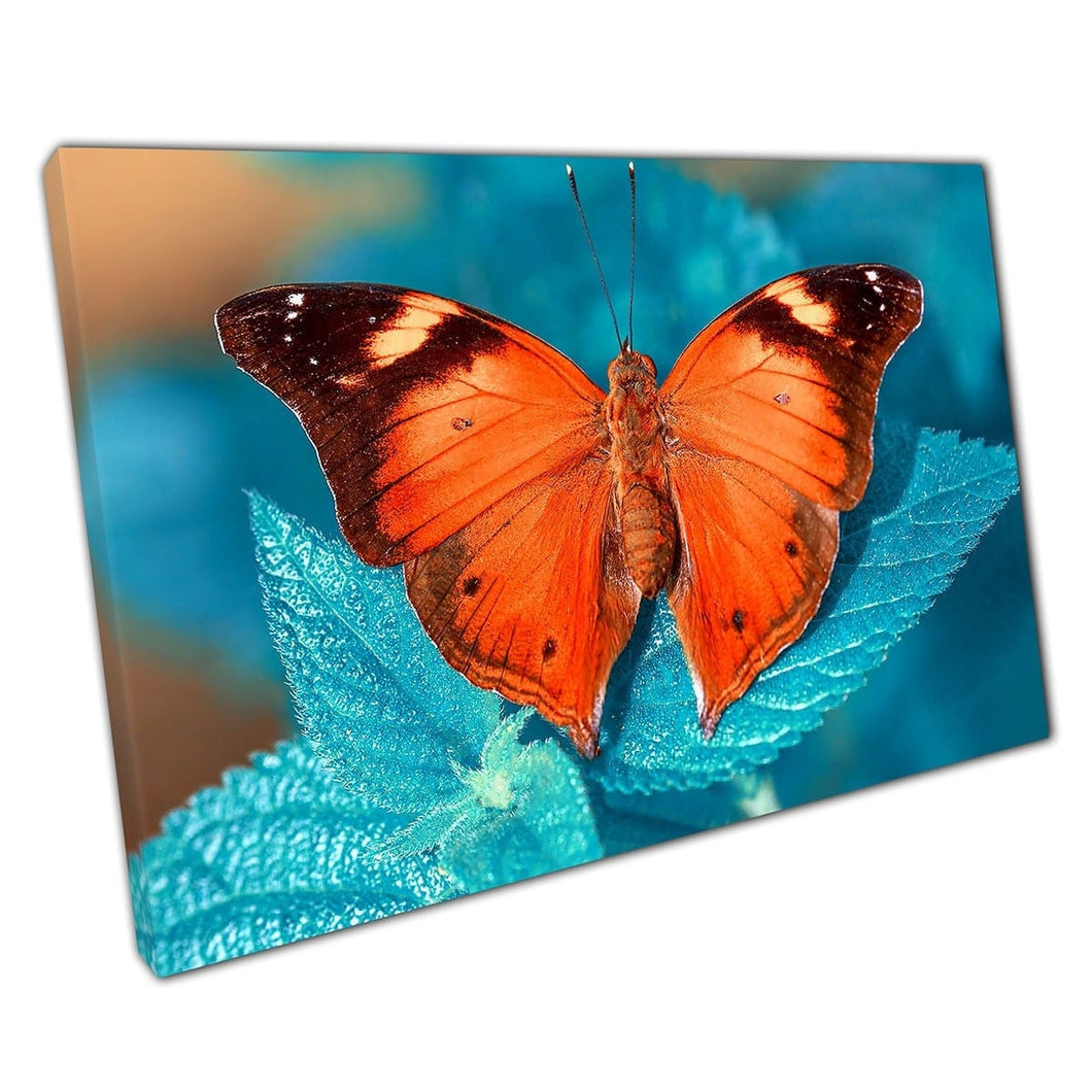Close Up prachtig uitzicht op oranje vlinder rusten op een bladwandkunstafdruk op canvas gemonteerde canvas print