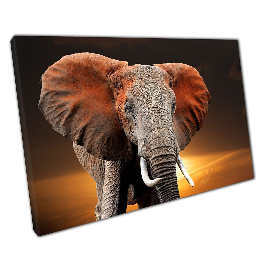 Krachtige machtige olifant in National Park of Kenia tijdens warme oranje zonsondergang Afrika Wall Art Print op canvas gemonteerde canvas print