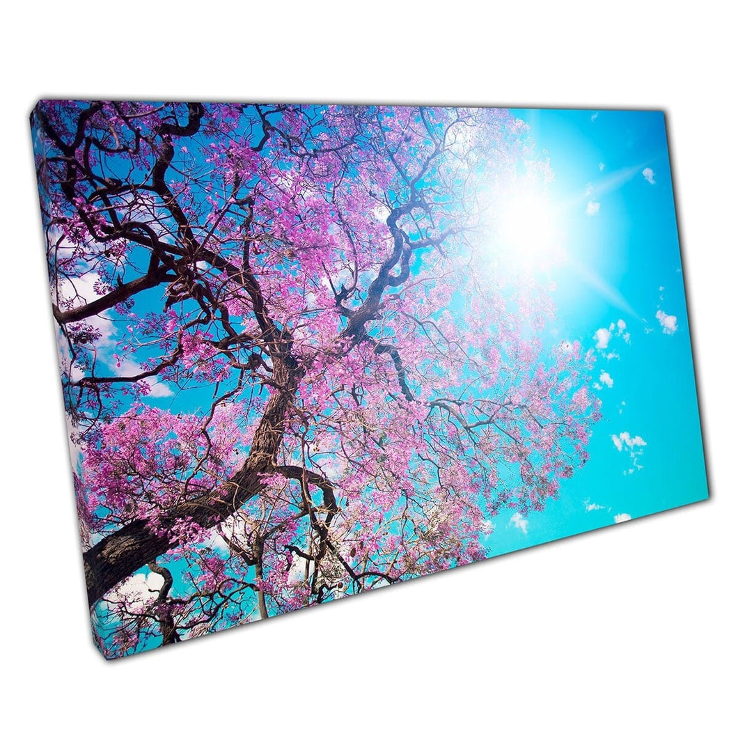 Beautiful Blossom Tree Growing Under The Shining Sun Clear Blue Skies Nature Wall Art Print On Canvas Mounted Canvas print