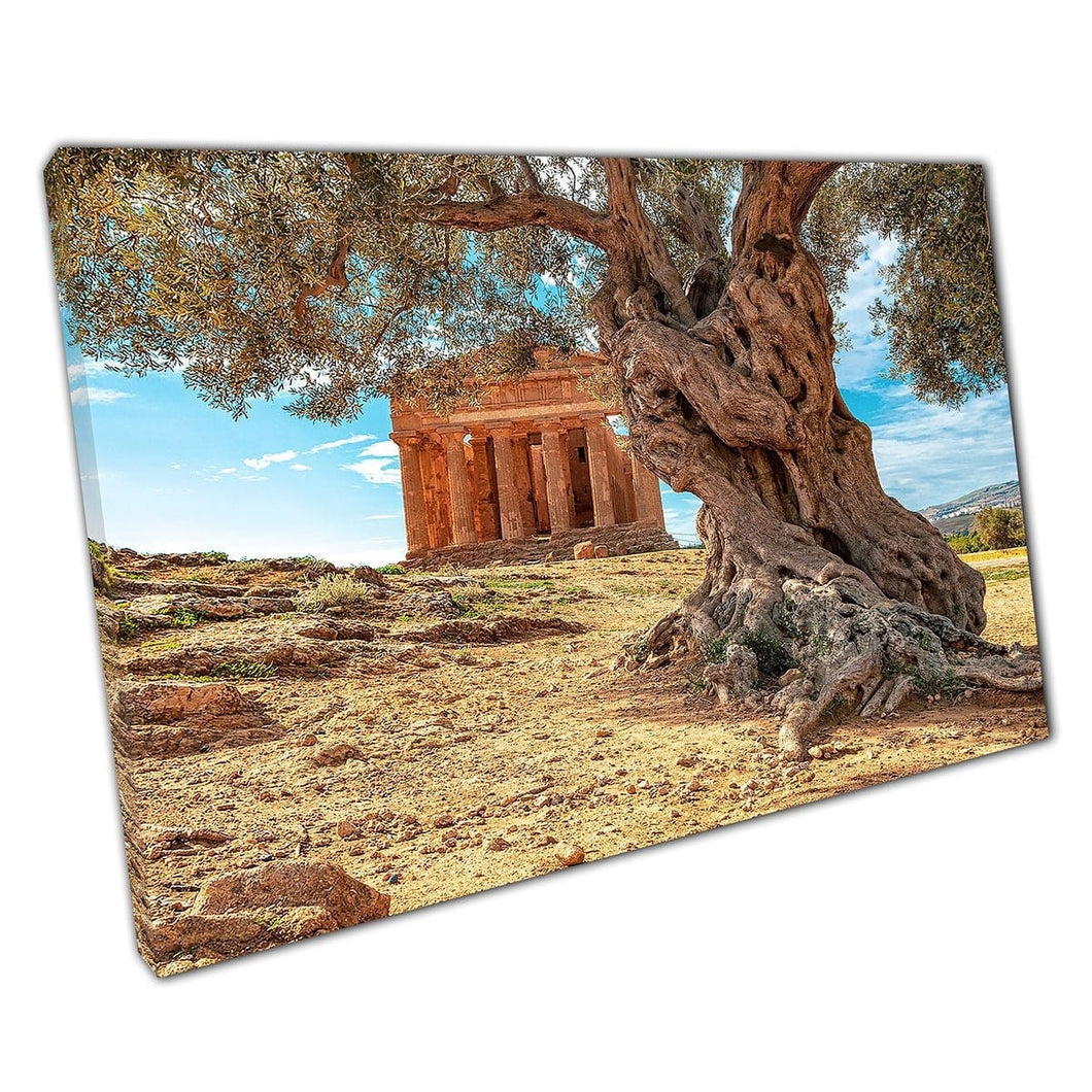 Ancient Olive Tree With Temple Ruins In The Background Historic Scenery Landscape Wall Art Print On Canvas Mounted Canvas print