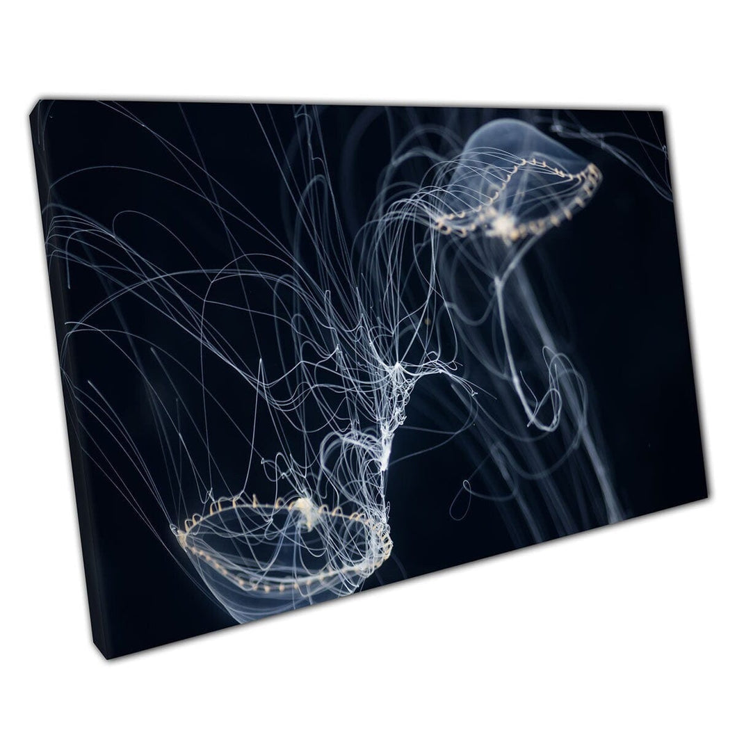 Duidelijke drijvende kwallen die door de zee zwemmen gevaarlijke onderwaterfotografie Wall Art Print op canvas gemonteerde canvas print