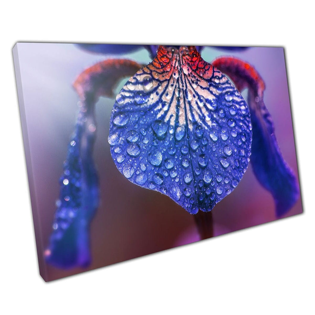 Beautiful Purple Pink Flower Petal Covered In Water Droplets Macro Photography Wall Art Print On Canvas Mounted Canvas print