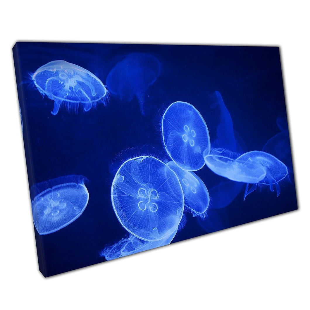 Blauwe fluorescerende kwallen die door het donkere water gevaarlijke zeeleven wall art print op canvas gemonteerde canvas print drijvend