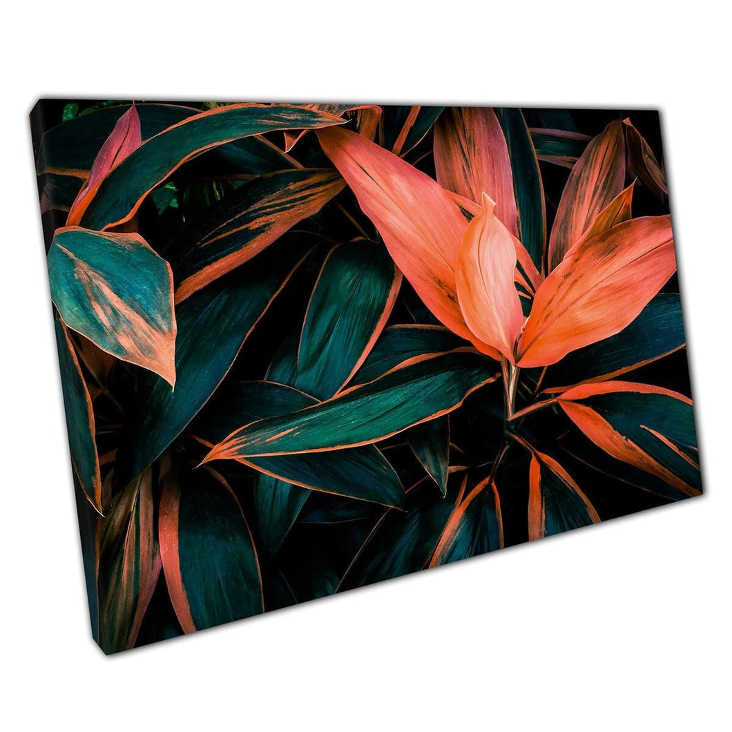 Cordyline fruticosa bladeren contrasteren koraal en groene exotische tropisch gebladerte natuur muur kunst print op canvas gemonteerde canvas print