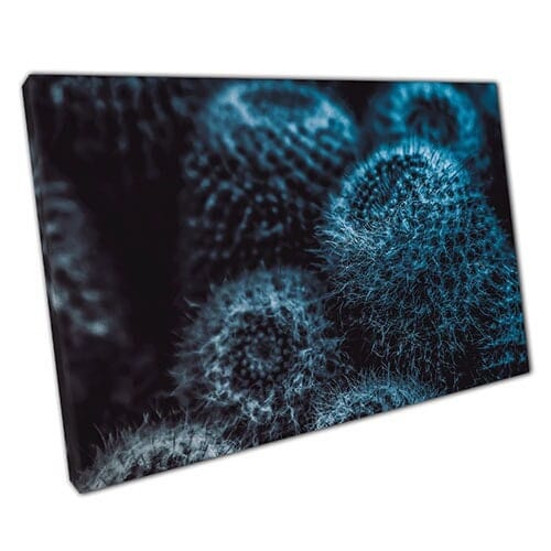 Print on Canvas Blue Cactus Close Up Ready to Hang Wall Art Print Mounted Canvas print