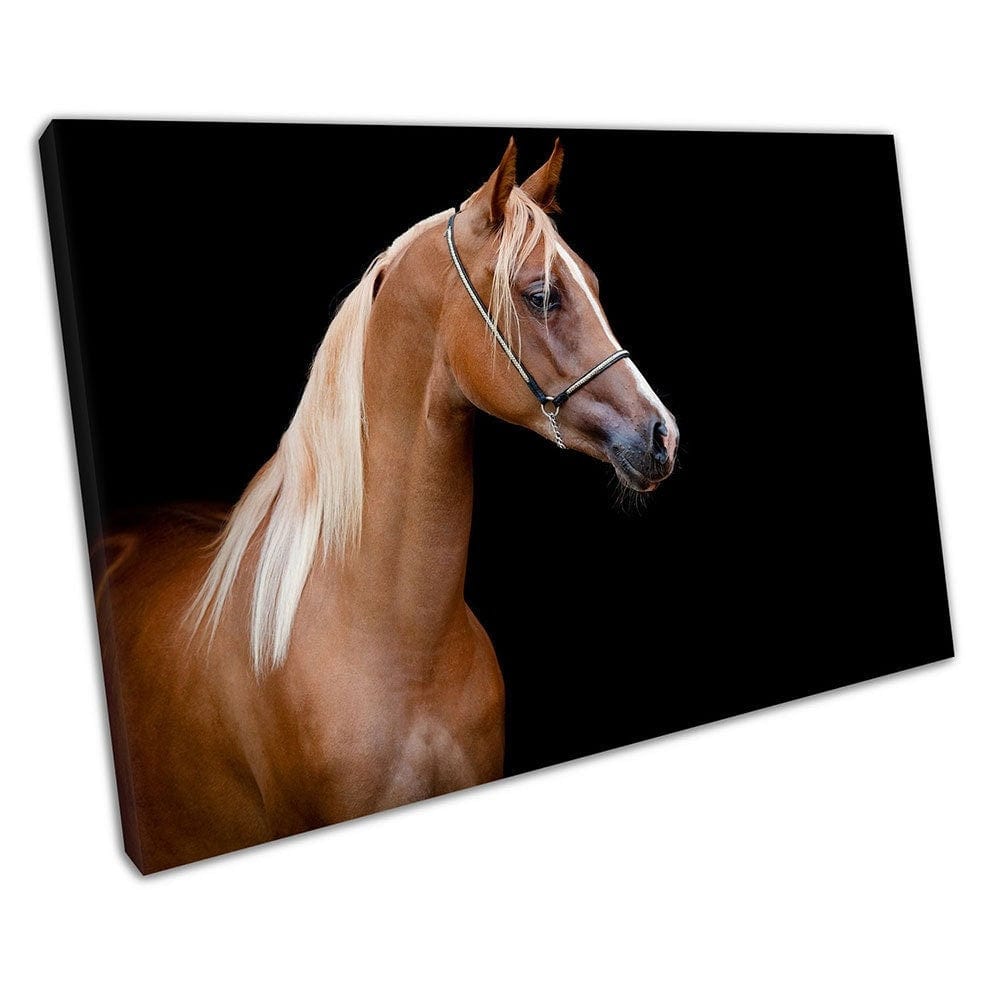 Bruine kastanje paarden dierenkunst klaar om canvas muurkunst te hangen afdrukken gemonteerde canvas print