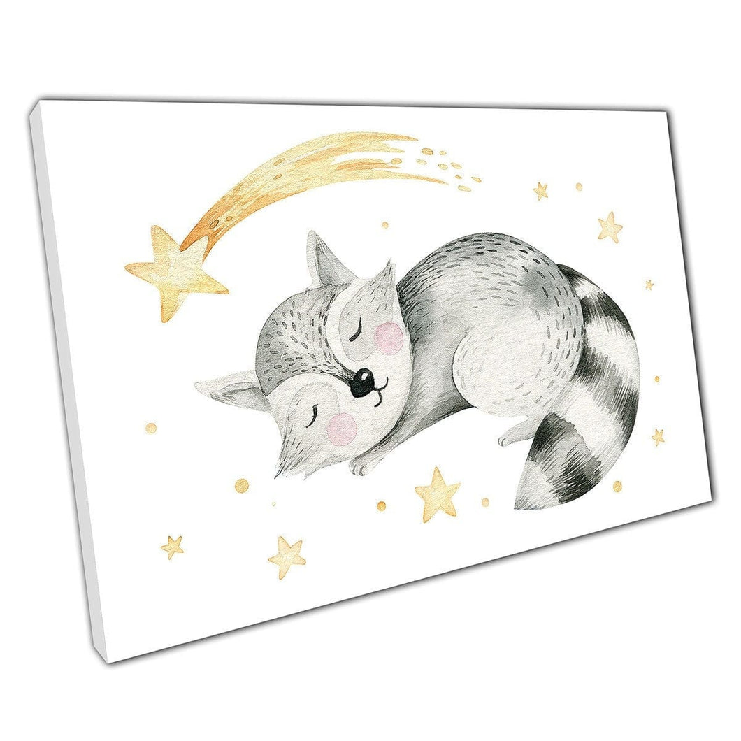 Schattige cartoon wasbeer slapen onder starry night sky kinderkamer aquarel schilderij wall art print op canvas gemonteerde canvas print