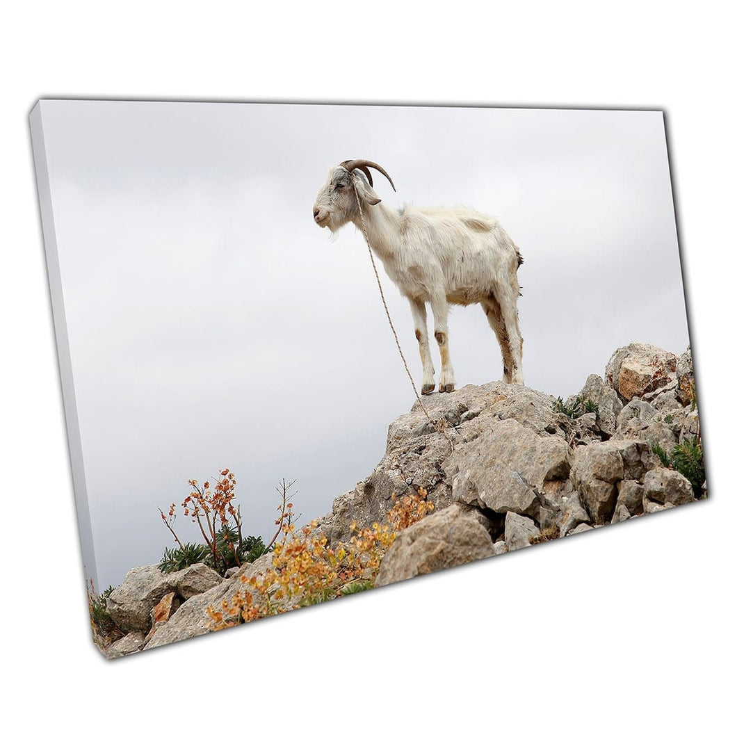 Geit uitgebalanceerd op stapel natuurlijke rotsen onder de bewolkte sky wall art print op canvas gemonteerde canvas print