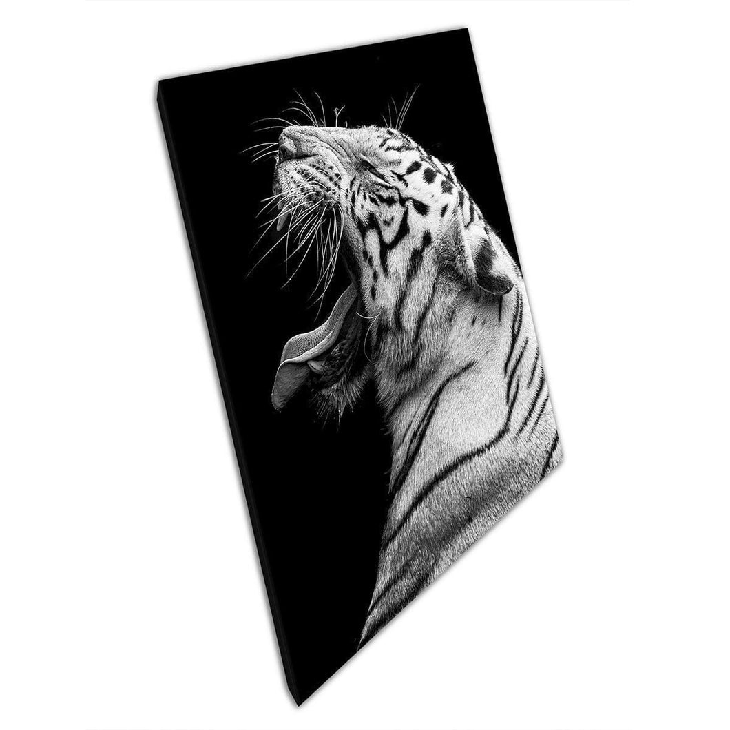 Fierce brullende Bengaalse tijger zwart en witte natuurfotografie Wall Art Print op canvas gemonteerde canvas print