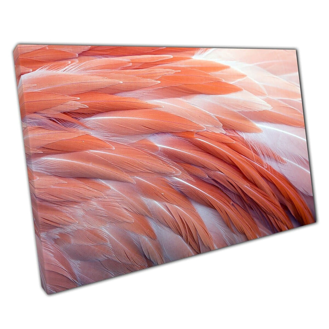 Close -up van roze flamingo veren pluizige textuurpatroon roze tonen muurkunst print op canvas gemonteerde canvas print