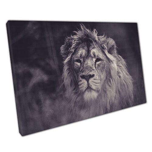 Print on Canvas lion mist Ready to Hang canvas Wall Art Print Mounted Canvas print