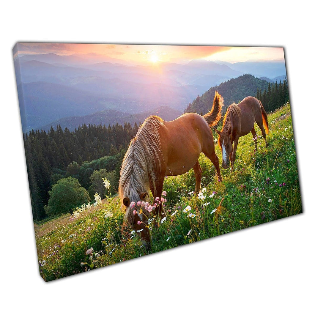Twee bruine paarden grazen op grasachtige Alpine Meadows in Golden Sun Wall Art Print op canvas gemonteerde canvas print