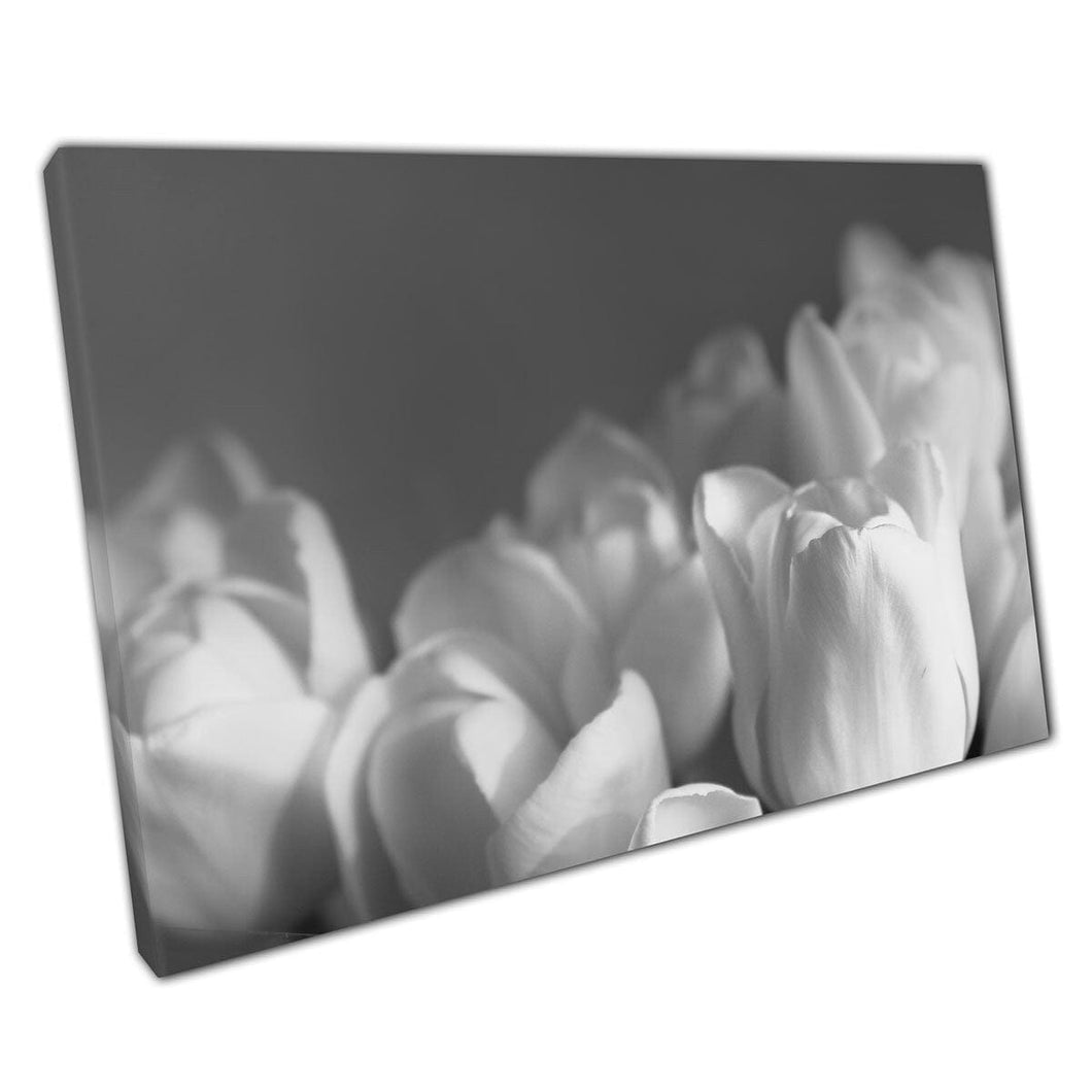 Delicate klassieke witte tulpen boeket bloemen bloemenfotografie eenvoudige minimalistische muurkunstafdruk op canvas gemonteerde canvas print