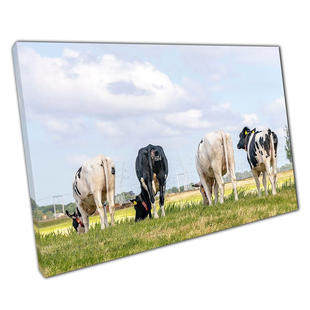 Vier koeien op gras grazen op de horizon boerderij dier dieren inmuurwandkunstafdruk op canvas gemonteerde canvas print