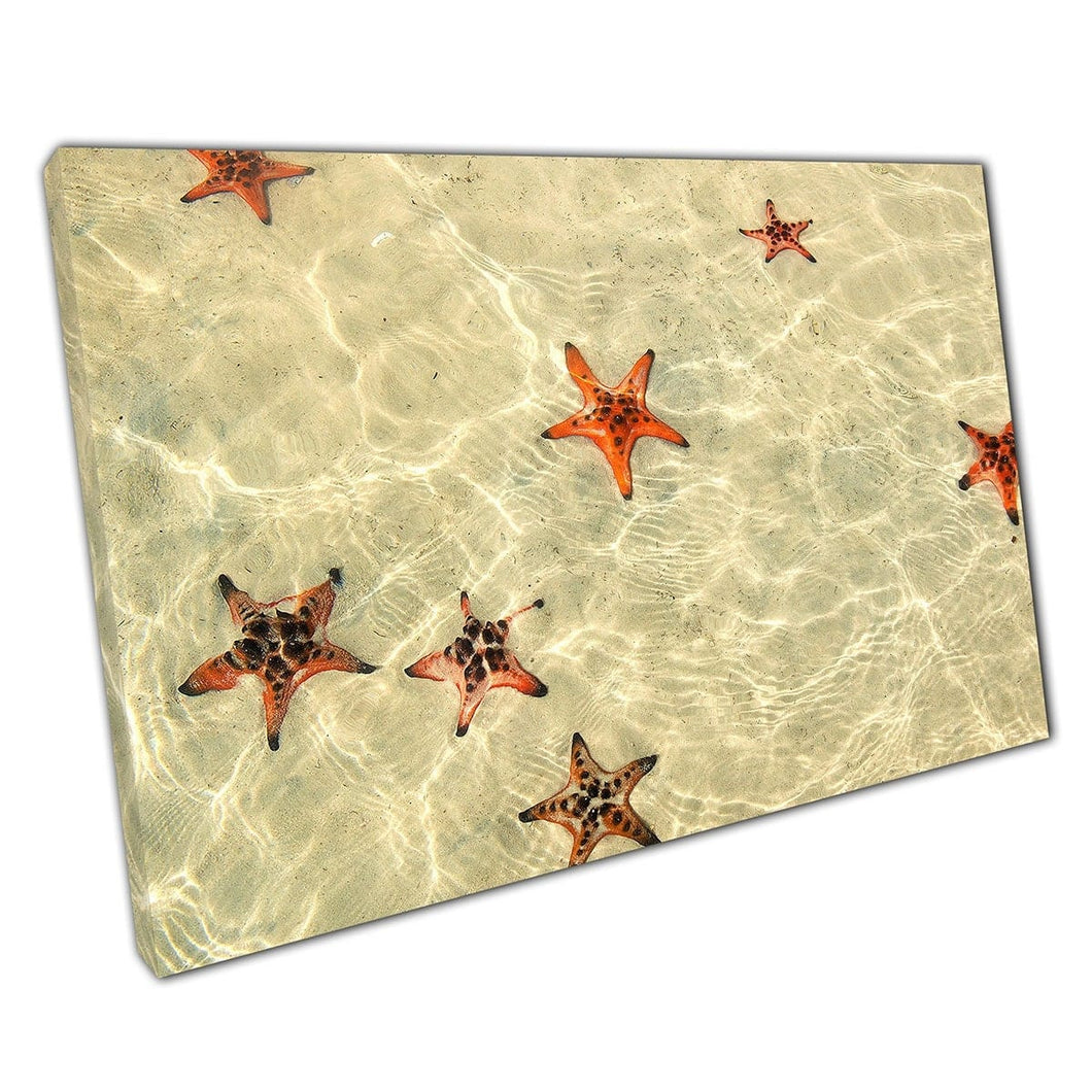 Starfish arancione che si raffredda in acque poco profonde Phu Quoc Starfish Beach South Vietnam Wall Art Stampa su tela di tela montata