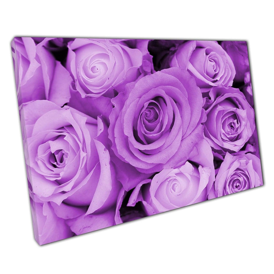 Arrangement Bouquet Pastel Purple Lilac Roses In Bloom Romantic Valentine Flowers Wall Art Print On Canvas Mounted Canvas print