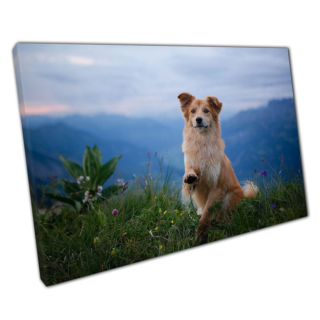 Grappige schattige hond gelukkig uitvoeren Raise Paw Trick in the Grassy Mountain Wilds Wall Art Print op canvas gemonteerde canvas print