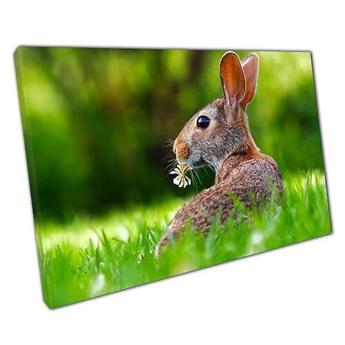 Afdrukken op canvas konijn konijn knabbelt op bloemenwand kunstprint gemonteerde canvas print