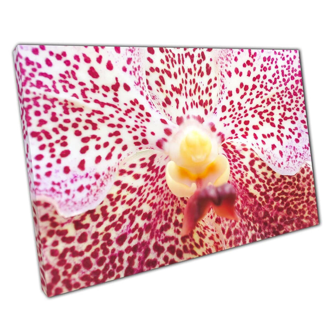 Macro -abstract uitzicht op een orchidee bloem zachte focus bloemenkunst dieproze tinten muurkunst print op canvas gemonteerde canvas print