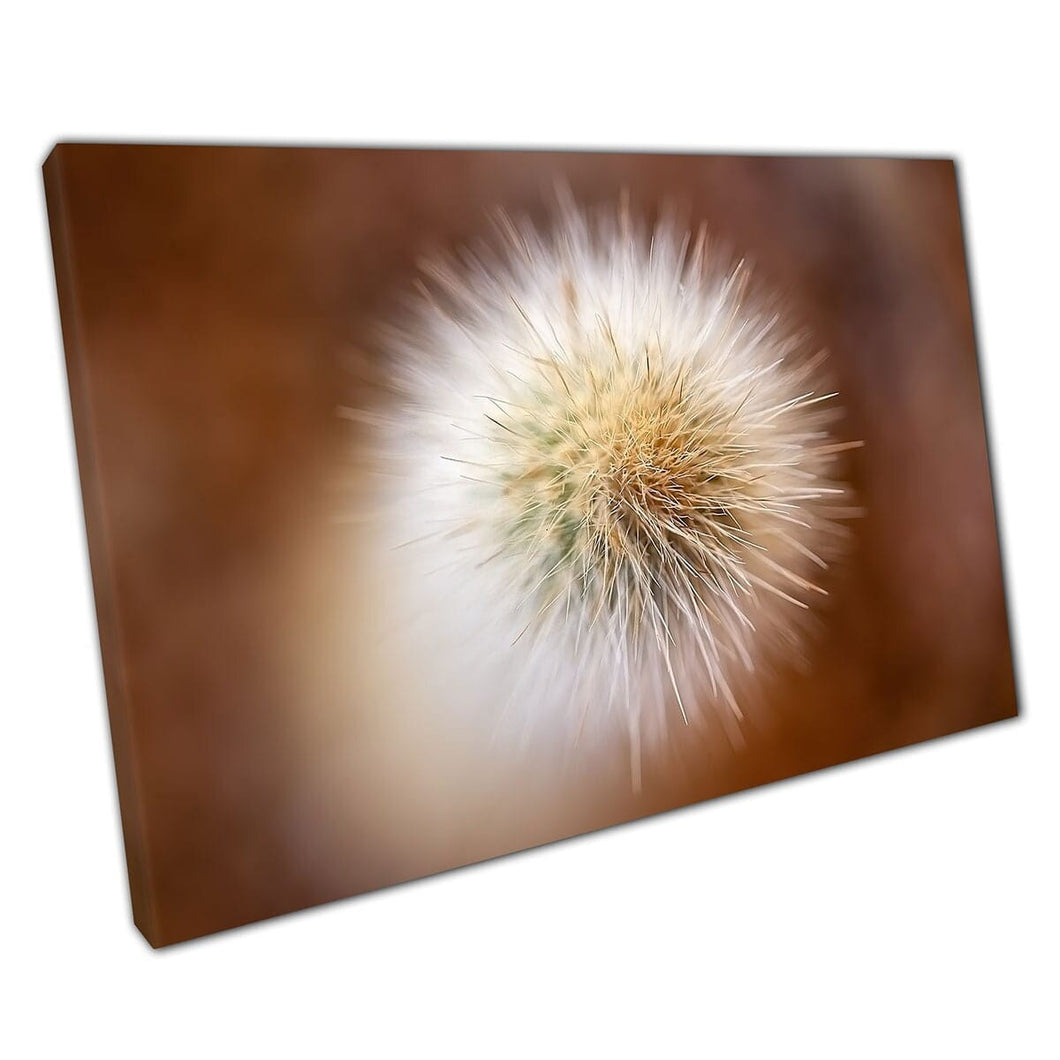 Abstract Aerial Photography View Of Natural Cactus Spines Succulent Nature Wall Art Print On Canvas Mounted Canvas print