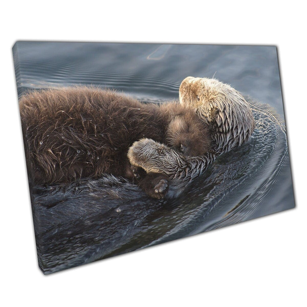Knuffelende otters die kalm in het water zweven in het water Morro Bay Pacific Coast Cute Animals Wall Art Print op canvas gemonteerde canvas print