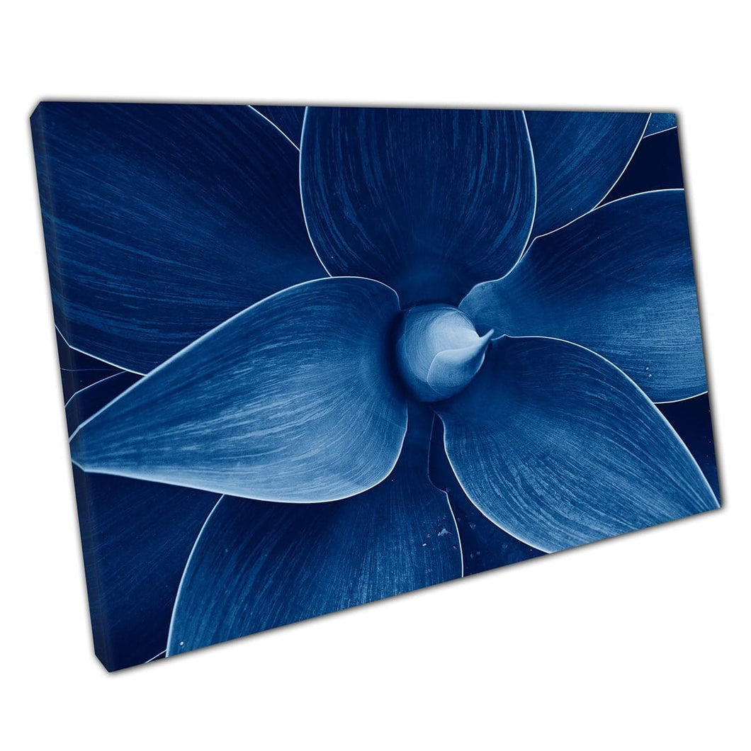 Beautiful Detailed Macro View Stunning Classic Blue Toned Agave Plant Photography Wall Art Print On Canvas Mounted Canvas print