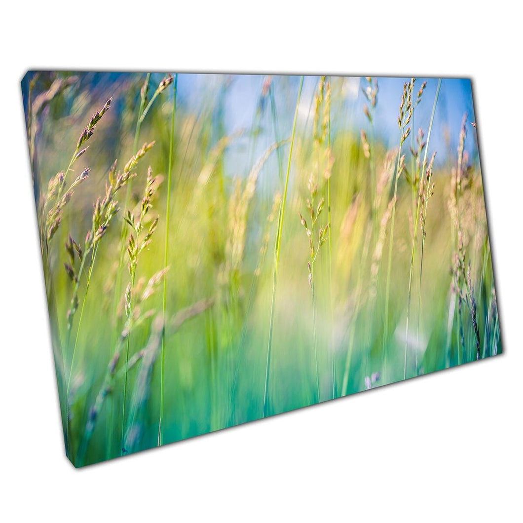 Verse levendige groene tonen van gras in een rustige weide abstract natuurfotografie muurkunst print op canvas gemonteerde canvas print