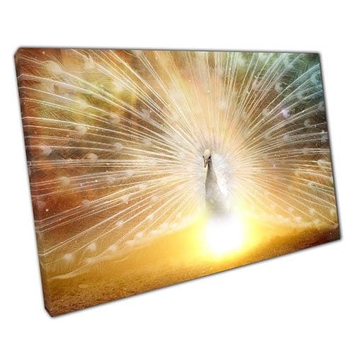 Stampa su tela pavone lampada pronta per appendere tela wall art stampare in tela montata