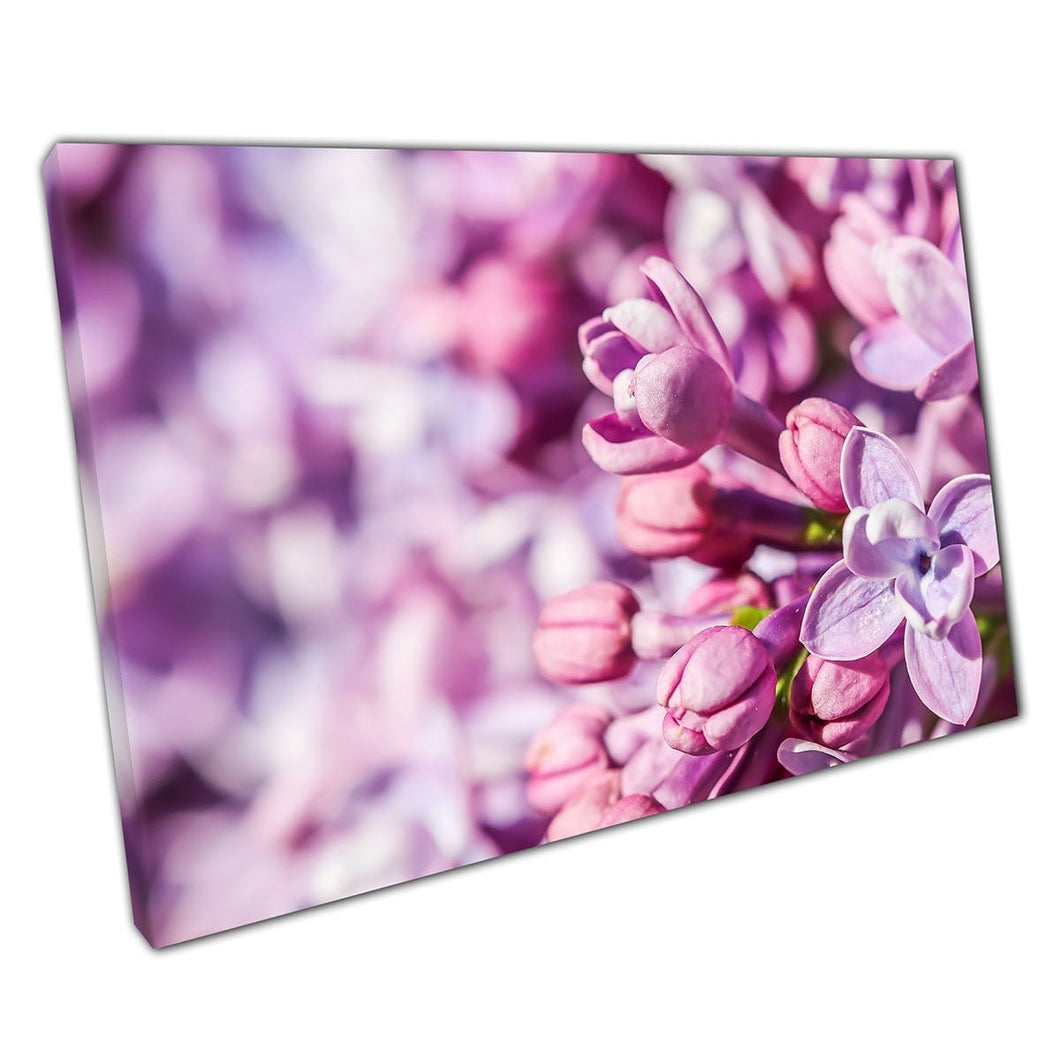 Bloeiende takken van paars roze Terry Lilac Flowers Nature Photography Wall Art Print op canvas gemonteerde canvas print