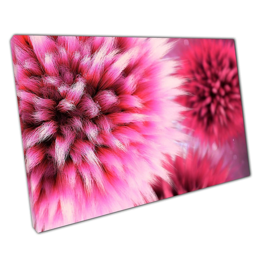 Vibrant Shades Of Pink Fluffy Macro Flower View Unusual Nature Bright Abstract Wall Art Print On Canvas Mounted Canvas print